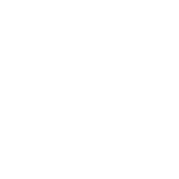 Bisnet.ai